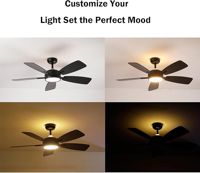 Roomratv Ceiling Fans with Lights,46 Inch,Remote Control,Night Light,Dimmable,Reversible,Noiseless,6 Speeds,Timer,Black Modern Ceiling Fan for Living Room,Bedroom,Kitchens,Kis room,Outdoor Patio