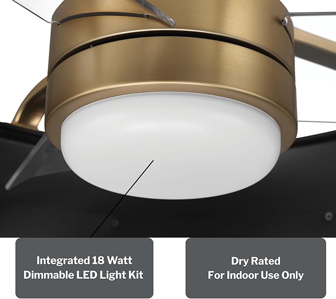 Craftmade Taylor 20" Dual Mount Indoor/Outdoor Flat Black Finish Ceiling Fan, LED Light Kit, Remote Control Included, Smart WiFi Enabled with Voice Activation (Flat Black/Satin Brass)