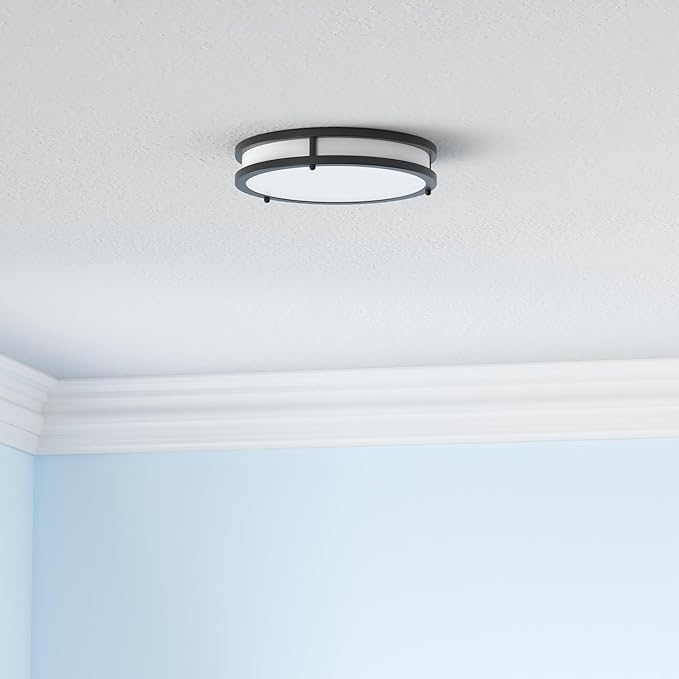 Flush Mount Ceiling Light Black, 30W 4000Lm 5CCT Dimmable LED Ceiling Light Fixture, 2700K/3000K/4000K/5000K/6500K Adjustable 10 Inch for Hallway Bedroom Bathroom Kitchen Closet Offices, Set of 2