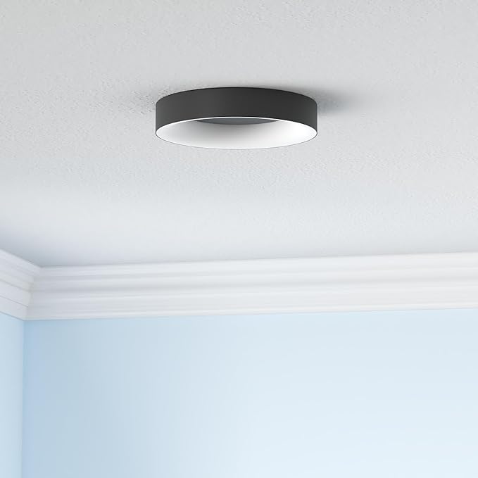 RGB Led Flush Mount Ceiling Light with Remote Control, 11 Inch 24W Black Ceiling Light Fixture, 3000K-6500K Light Color Changeable, Modern Ceiling Lights for Bedroom Kids Room