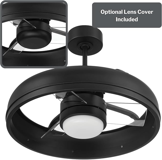 Craftmade Taylor 20" Dual Mount Indoor/Outdoor Flat Black Finish Ceiling Fan, LED Light Kit, Remote Control Included, Smart WiFi Enabled with Voice Activation