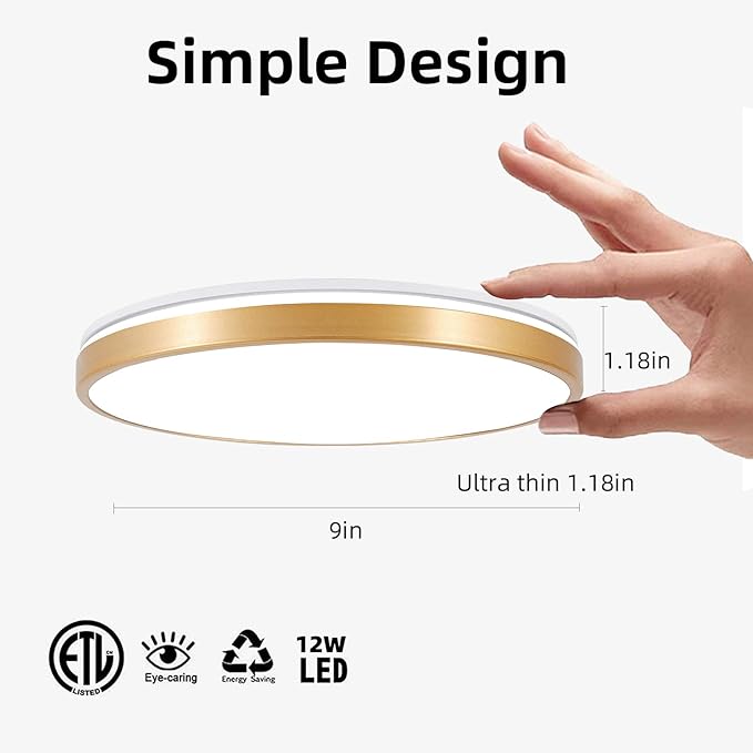 HOREVO RGB Flush Mount Light Fixture with Bluetooth Speaker, 24W Dimmable Brushed Nickel LED Ceiling Light for Bedroom, Living Room, Kid's Rooms, Kitchen, Hallway (Need Wired)