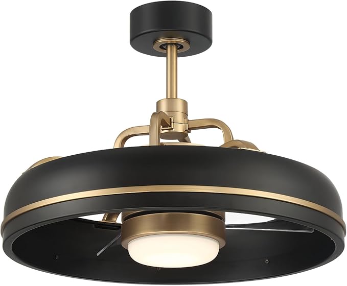 Craftmade Taylor 20" Dual Mount Indoor/Outdoor Flat Black Finish Ceiling Fan, LED Light Kit, Remote Control Included, Smart WiFi Enabled with Voice Activation (Flat Black/Satin Brass)