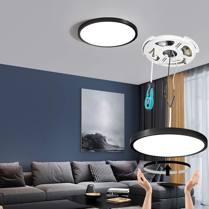 TALOYA12 Inch Flush Mount LED Ceiling Light Fixture, 4 Pack Black Ceiling Light for Bedroom Kitchen Living Room Laundry, 5 CCT Selectable, Easy to Install and Ultra Slim,Non-dimmable