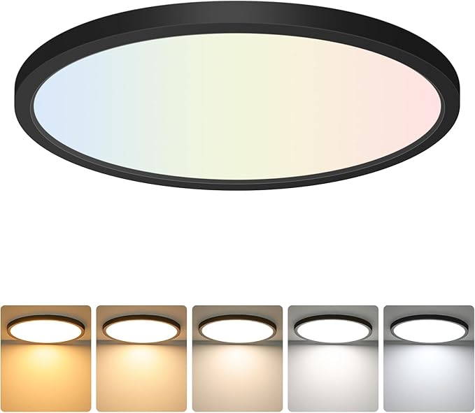Brightever Black LED Flush Mount Ceiling Light, 24W 3200LM 5CCT Dimmable LED Ceiling Light Fixture, 2700K/3000K/4000K/5000K/6500K, 12 Inch Ultra Thin Ceiling Lamp for Bedroom, Dining Room, 1 Pack