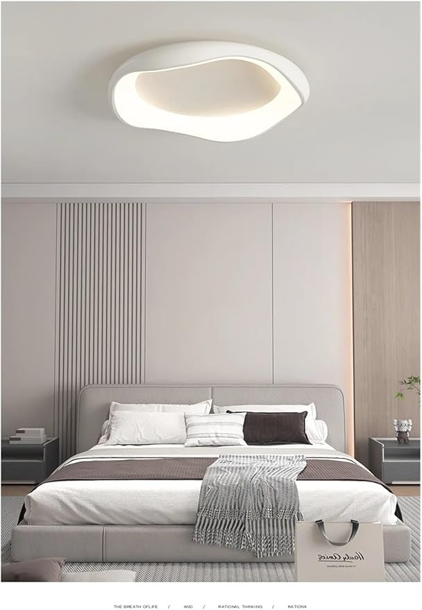 Modern Bedroom Ceiling Light Minimalist Interior Intelligent Lamp Living Room Bar Counter Home Decoration Lighting Fixture Contemporary(Silver-52cm)