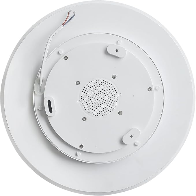 HOREVO RGB Flush Mount Light Fixture with Bluetooth Speaker, 24W Dimmable Brushed Nickel LED Ceiling Light for Bedroom, Living Room, Kid's Rooms, Kitchen, Hallway (Need Wired)