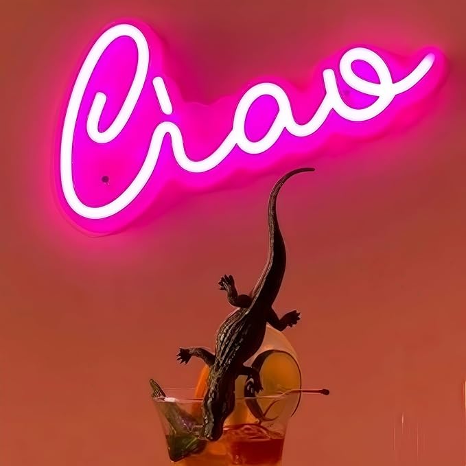 Ciao LED Neon Signs for Wall Decor Neon Wall Art Acrylic LED Lights with Hanging Chain Light Up Signs for Bedroom Decor Graduation Bar Pub Wedding Christmas Birthday Party 5V USB Powered Dimmable