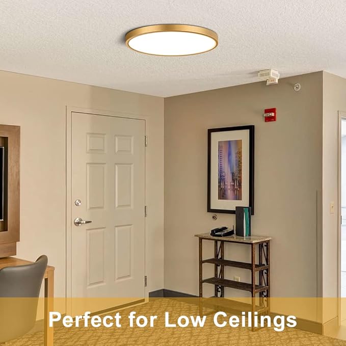 9 Inch Gold LED Flush Mount Ceiling Light, 5000K Daylight White Low Profile LED Ceiling Light, 18W 1800LM, Round Slim Flat Ceiling Lights Fixture for Closets Bedroom Hallway Stairwells Porch