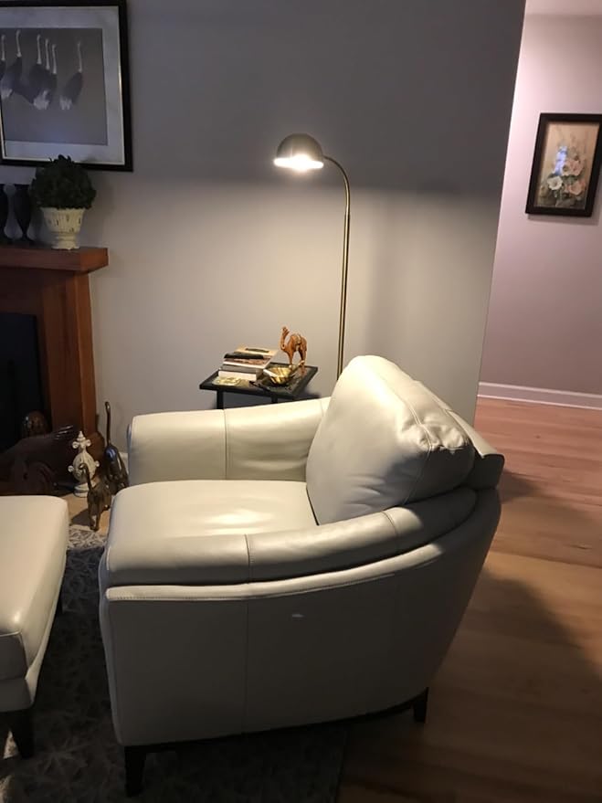 Brightech Regent LED Floor Lamp, Free Standing Corner Pole Light with Adjustable Gooseneck, Tall Bright Skinny Lamp for Office Desk, Living Room Sofa or Chair - Brass/Gold