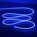 LED Neon Lights Flexible Blue 16.4FT/5M 12V DC Waterproof Flexible LED NEON Light for Indoors Outdoors Decorm [ No Power Adapter]