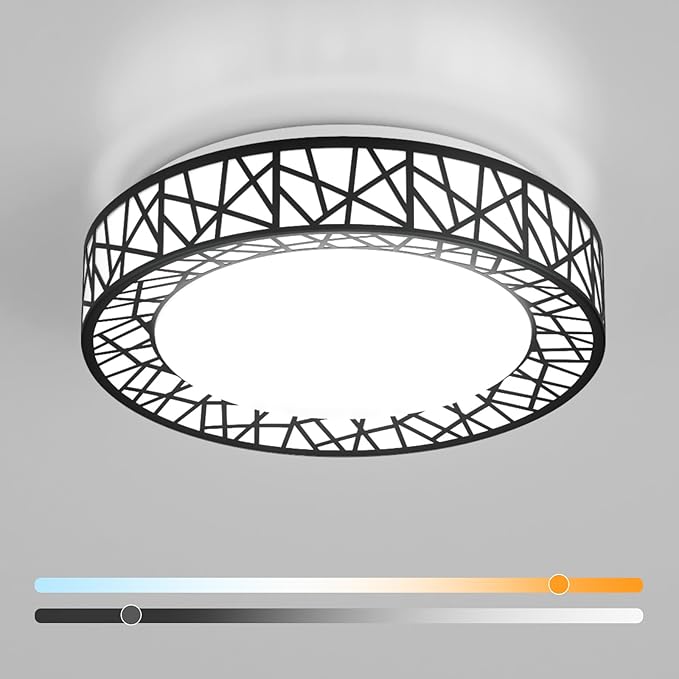 12 Inch Flush Mount Ceiling Light, Modern Black LED Ceiling Light Fixture, 20W 1400LM 2700-6500K Adjustable, Dimmable Ceiling Lights for Bedroom, Kitchen, Hallway, Bathroom, ETL Listed