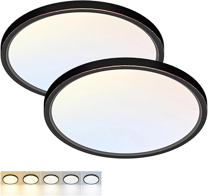 2 Pack LED Flush Mount Ceiling Light,12Inch 24W,3000K/3500K/4000K/5000K/6500K 5 Color Temperatures Ceiling Light Fixture for Kitchen Porch Hallway Bedroom Bathroom Closet,Oil-Rubbed Bronze