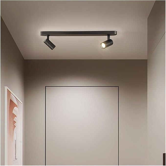 Nordic Home Decoration Salon Bedroom Decor Smart Led Lamp Lights for Room Dimmable Ceiling Light Lamparas Indoor Lighting,for Bedroom