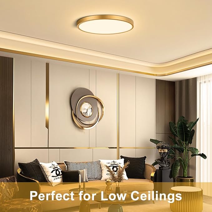 9 Inch Gold LED Flush Mount Ceiling Light, 18W 1800LM 3000K Warm White, Low Profile Round LED Ceiling Light Fixture for Bedroom, Closet, Hallway, Stairwell, Kitchen, Porch (2 Pack)