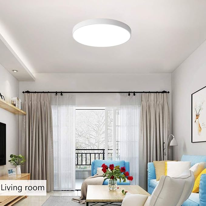 Ganeed LED Ceiling Lights,39W 19.6Inch Modern Ceiling Lamp,Flush Mount Lighting Fixture Round,6500K Cool White Ceiling Lighting for Dining Hallway Living Kitchen Bedroom Room