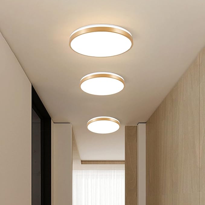 HOREVO RGB Flush Mount Light Fixture with Bluetooth Speaker, 24W Dimmable Brushed Nickel LED Ceiling Light for Bedroom, Living Room, Kid's Rooms, Kitchen, Hallway (Need Wired)