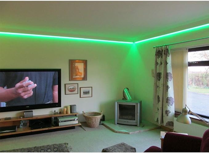 50FT/Roll 60LEDs/M 24V 5050 IP67 Waterproof RGB LED Flexible Strip Light w/Bluetooth Remote & Controller(Waterproof) and Power Supply(Waterproof)