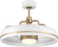 Craftmade Taylor 20" Dual Mount Indoor/Outdoor Flat Black Finish Ceiling Fan, LED Light Kit, Remote Control Included, Smart WiFi Enabled with Voice Activation (White/Satin Brass)