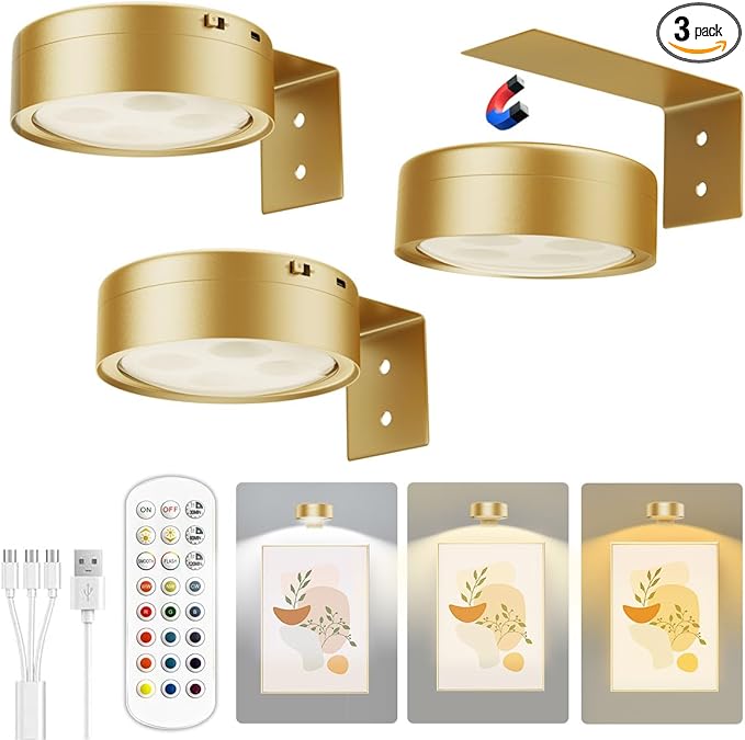 Xuolder Picture Lights for Wall,2000mAh Rechargeable Battery Poster Lights LED Magnetic Painting Light with Remote Control,3 Color Temps&12 RGB Timer Dimmable Wall Light for Art Display Wall Decor