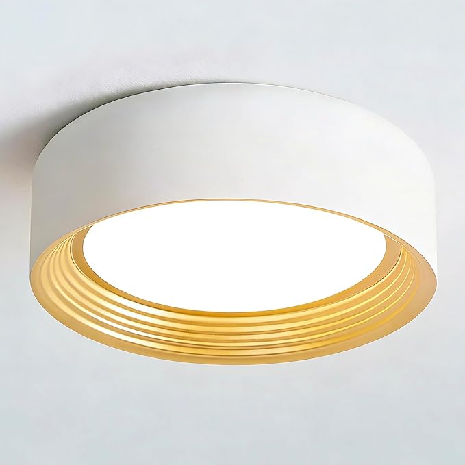 Dimmable Modern LED Flush Mount Ceiling Light,11.8 Inch 5CCT 24W/3000K-6000K,Minimalist Round White and Gold Close to Ceiling Lighting Fixtures for Kitchen,Hallway,Laundry Room,Entryway,Porch