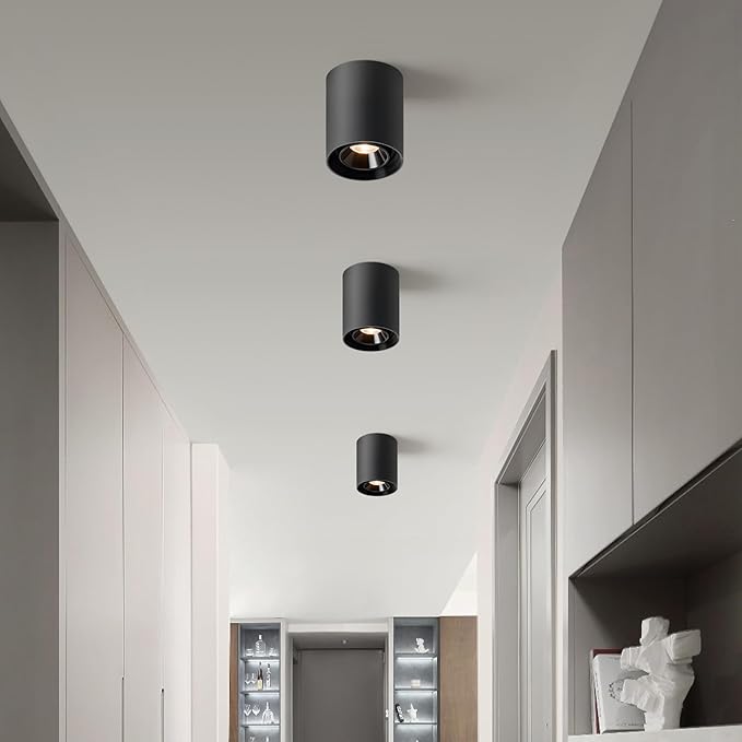 OKELI Black Modern LED Dimmable Ceiling Light Fixtures for Hallway Kitchen Entryway, 20W 1300LM 2700K-6000K Flush Mount Close to Ceiling Lighting, Cylinder Ceiling Lamps for Living Room 1pack