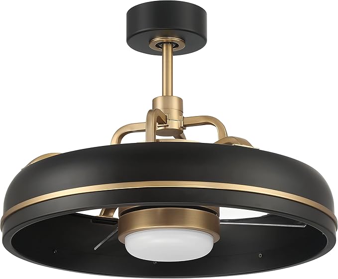 Craftmade Taylor 20" Dual Mount Indoor/Outdoor Flat Black Finish Ceiling Fan, LED Light Kit, Remote Control Included, Smart WiFi Enabled with Voice Activation (Flat Black/Satin Brass)