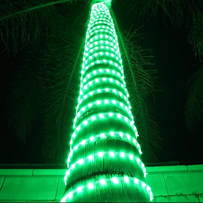 Russell Decor 100ft/30m Led Rope Lights Lamps Kit Indoor Outdoor Decorative Lighting for Saint Patrick's Day Party Wedding Backyard Patio Deck Bright Flexible String Tube Lights Waterproof- Green