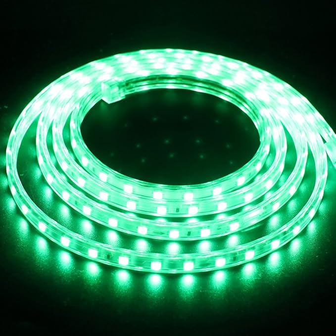 LED Light Strip Kit, AC 110-130V Flexible Waterproof Rope Lights, SMD 5050 60 LEDs/M for Indoor Outdoor Commercial Lighting, Accessories Included (Green, 30ft/9m)