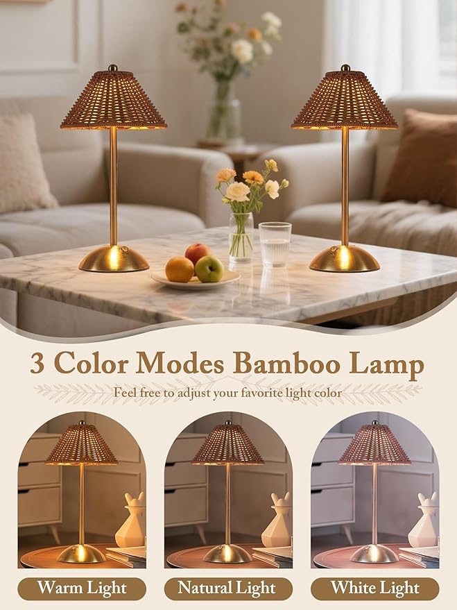 2 Pack Boho Rattan Table Lamp,Wicker Night Light,LED Rechargeable Reading Lights,3 Color Touch Control Dimmable Bedside Lamps Living Room Bedroom Office Lighting Home Outdoor Decor