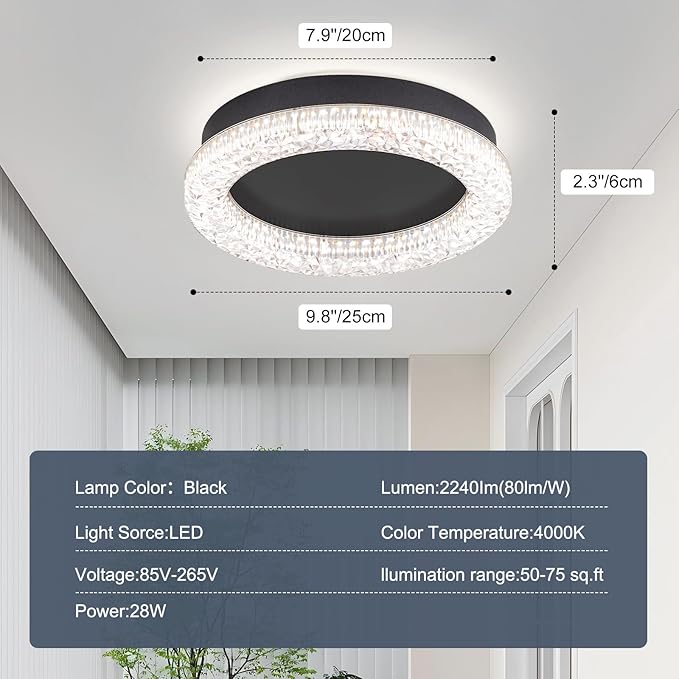 10 Inch LED Hallway Light Fixtures, 4500K Black Modern Flush Mount Ceiling Light,Round Acrylic Close to Ceiling Lighting Fixtures for Hallway Bedroom Entryway Kitchen Ceilings Lamp (Round)