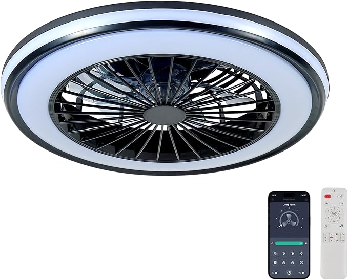 20" Modern LED Ceiling Fan Light, Smart Bladeless Ceiling Fans with Lights and Remote, RGB Bluetooth Fan Chandelier for Bedroom,Living Room, Office (20)