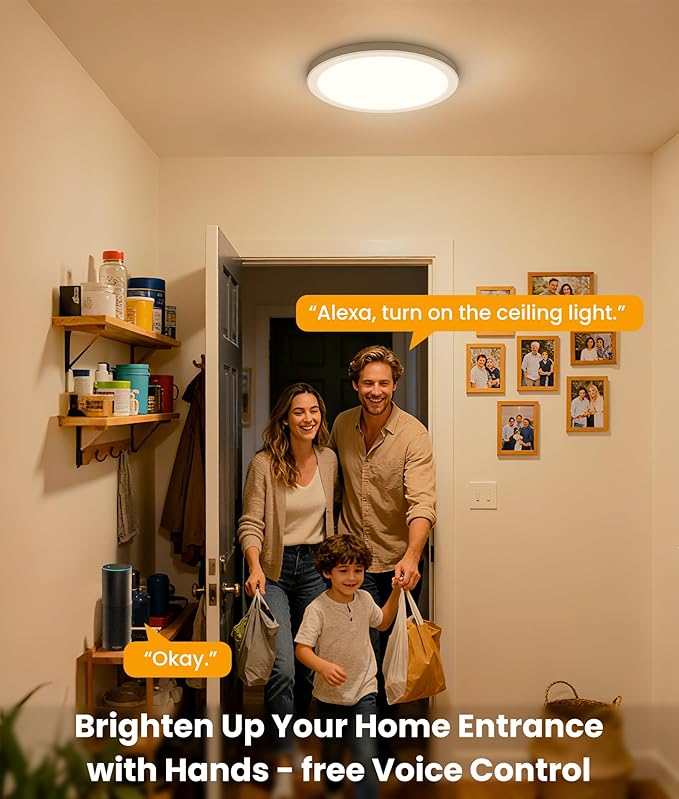 12 Inch Smart Ceiling Light, 2400LM RGBCW LED Flush Mount Ceiling Light Work with App & Voice Control, 2700K-6500K Dimmable LED Ceiling Light Fixture for Living Room Bedroom Gaming Room, 2 Pack