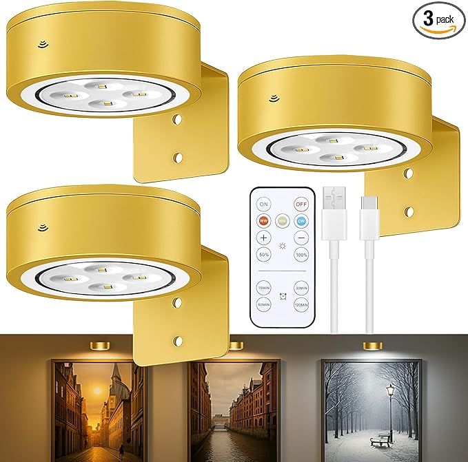 3-Pack Picture Lights for Wall, Rechargeable Battery Operated Led Painting Light with Remote Dimmable ＆ Timer, 3 Lighting Modes Magnetic Art Display Light, Wall Decorative Lighting for Picture,Frame