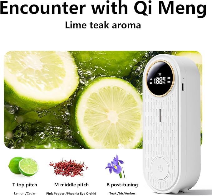 Home Scent Diffuser Automatic Liquid Sprayer with Timed Setting Enjoy Unique Scent for Home