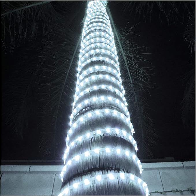 Russell Decor LED Rope Lights Festival Holiday Party Seasonal Christmas Decoration 30ft - 200ft Customized Available (Cool White, 40)