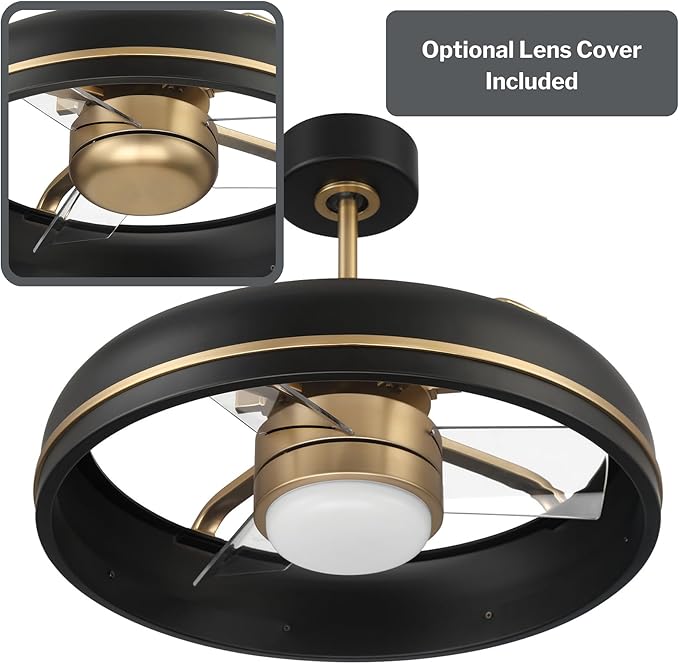 Craftmade Taylor 20" Dual Mount Indoor/Outdoor Flat Black Finish Ceiling Fan, LED Light Kit, Remote Control Included, Smart WiFi Enabled with Voice Activation (Flat Black/Satin Brass)