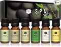 P&J Trading Fragrance Oils for Diffusers for Home Spa Set Fragrance Scents for Candle Making - Soap Making Supplies - Car Diffuser Scents - Essential Home Gift Set - Aloe, Eucalyptus & More