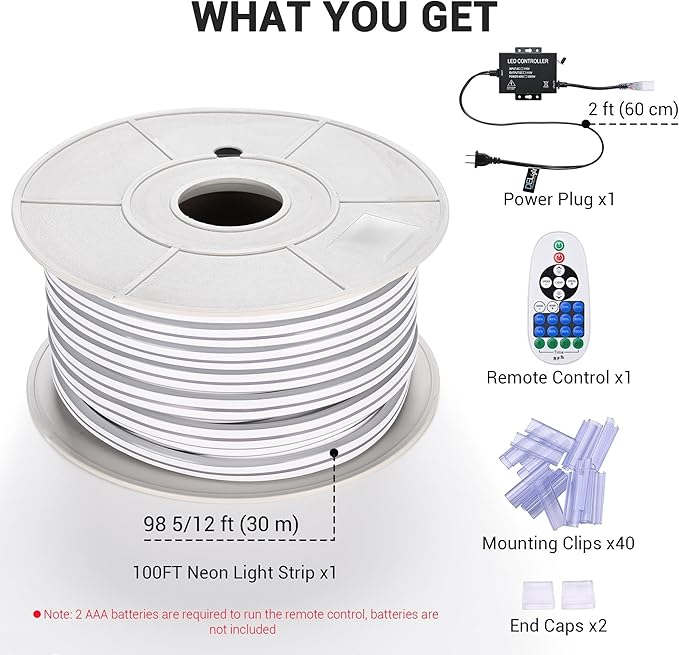 DELight AC 110-120V Waterproof IP65 Cozy 2700K Warm White 100ft Railing Neon Rope Lights with Remote Control Dimmable Cuttable Flexible LED Strip Lights Outdoor Patio Retro Vibe DEL-D100W
