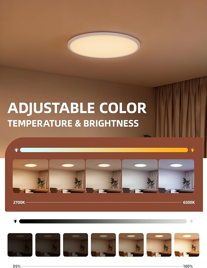 1 Pack 12 Inch Smart Ceiling Light Fixture, RGB LED Flush Mount Ceiling Light with Night Light, 24W 2400LM Ultra-Slim Ceiling Light with Remote, 16 Million DIY Colors, Works with Alexa/Google Home