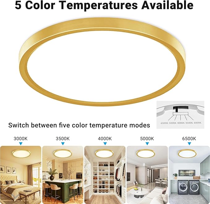2 Pack LED Flush Mount Ceiling Light,12Inch 24W,3000K/3500K/4000K/5000K/6500K 5 Color Temperatures Ceiling Light Fixture for Kitchen Porch Hallway Bedroom Bathroom and Closet,Gold