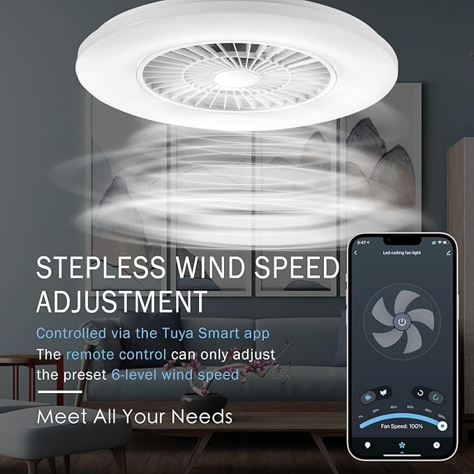 Ceiling Fans with Lights and Remote, 24'' Low Profile Ceiling Fan, RGB Ceiling Fan Lights, Stepless Dimming for Living Room, Dining Room, Bedroom