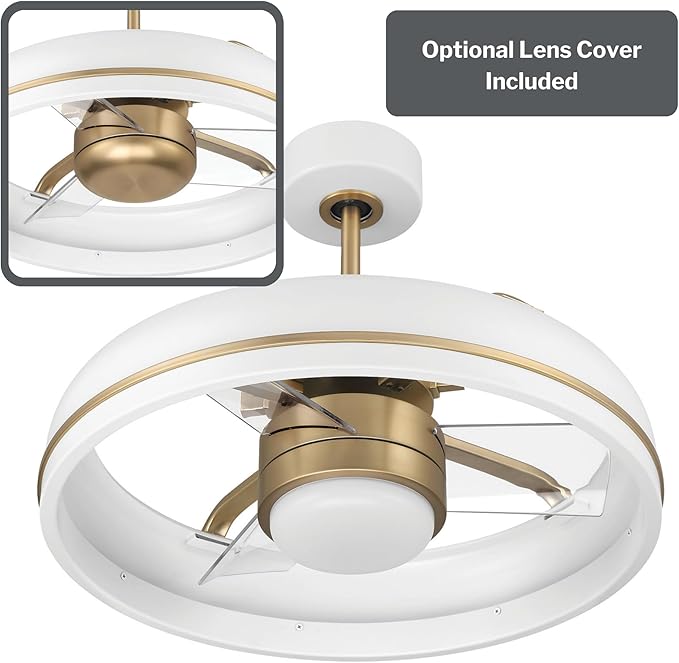 Craftmade Taylor 20" Dual Mount Indoor/Outdoor Flat Black Finish Ceiling Fan, LED Light Kit, Remote Control Included, Smart WiFi Enabled with Voice Activation (White/Satin Brass)