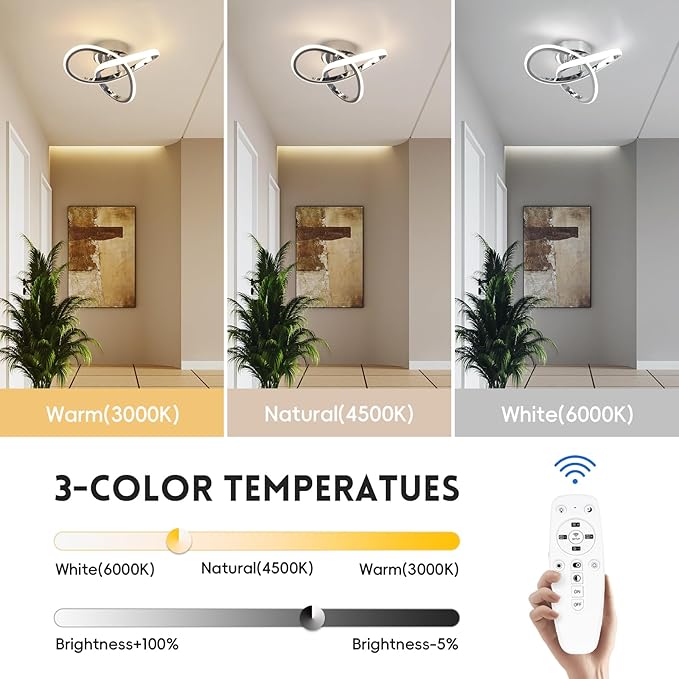 CANEOE Gold Hallway Ceiling Light Fixtures 24W Dimmable LED Ceiling Light with Remote Control Modern Flush Mount Ceiling Lights for Bedroom Bathroom Kitchen Balcony Stair Aisle Ceiling Lamp (Chrome)