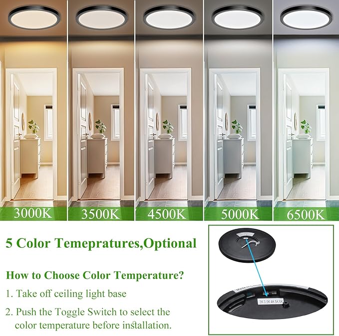 LED Flush Mount Ceiling Light Fixture, 24W 12Inch 3000K/3500K/4500K/5000K/6500K 5 Color Changeable 2880LM Low Profile Ceiling Light for Bedroom, Living Room, Dining Room, Hallway Black