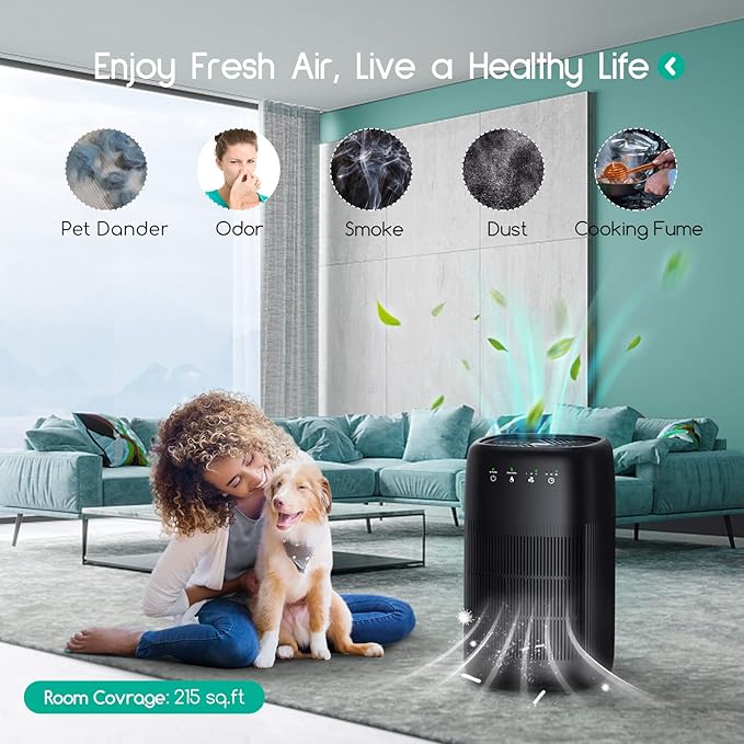 Afloia Air Purifier and Dehumidifier in 1, Air Purifier with Efficient Filter, Small Dehumidifier Combined with Air Cleaner, Remove Pet Odors Dust Smoke for Home, Bedroom, Bathroom