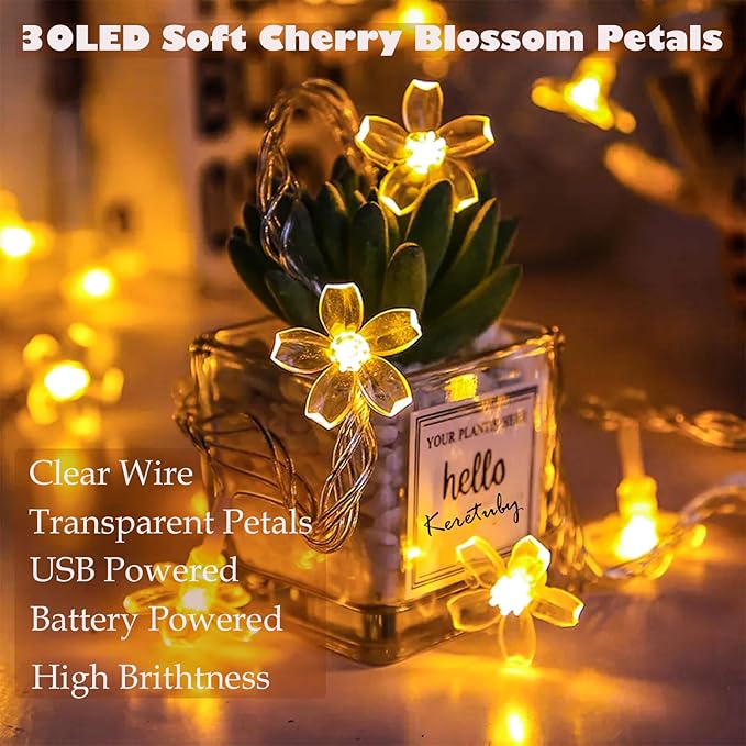 Fairy Battery & USB Flower String Lights Girls Bedroom, 10ft 30 LED Decorative Cute Cherry Blossom Floral Lamp for Christmas, Birthday, Wedding Party, Centerpiece, Dorm Indoor Decoration (Warm White)