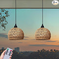 Battery Operated Hanging Outdoor Chandelier, Battery Power Pendant Light, Gazebo Lights Outdoor Waterproof, for Gazebo, Pergola, Porch, Patio, Indoor Outdoor Decor Lighting (2)