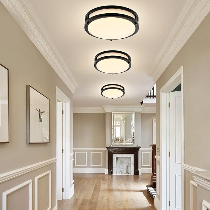 10Inch 30W LED Flush Mount Ceiling Light Fixtures, Ultra Bright 3200LM Dimmable Ceiling Lights, 5CCT 2700K 3000K 4000K 5000K 6500K, Ceiling Lamps for Kitchen Hallway Bedroom Bathroom, Black 1 Pack