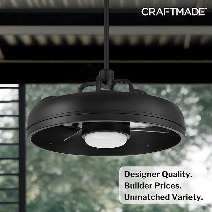 Craftmade Taylor 20" Dual Mount Indoor/Outdoor Flat Black Finish Ceiling Fan, LED Light Kit, Remote Control Included, Smart WiFi Enabled with Voice Activation